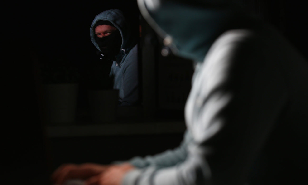 Two teenagers accused of stealing 30 cars in 'two-month keyless theft spree' across Midlands
